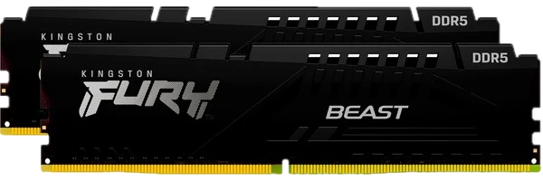 Beast 64 GB DDR5-6000 (2x 32 GB) werkgeheugen