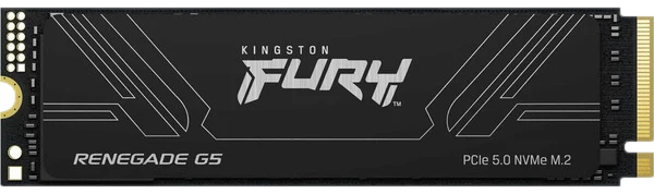 Kingston FURY Renegade G5 1 To