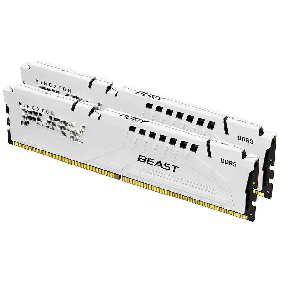 Beast 64 GB DDR5-6000 (2x 32 GB) werkgeheugen