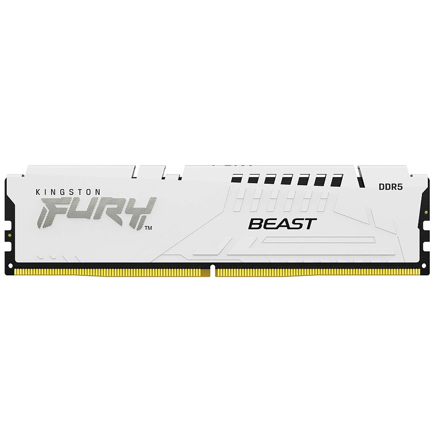 Beast 64 GB DDR5-6000 (2x 32 GB) werkgeheugen