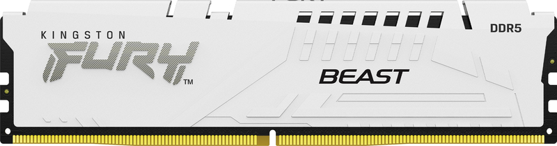 Kingston DDR5 Fury Beast 1 x 16 GB 6000 MHz CL 30 Wit KF560C30BWE-16 geheugenmodule