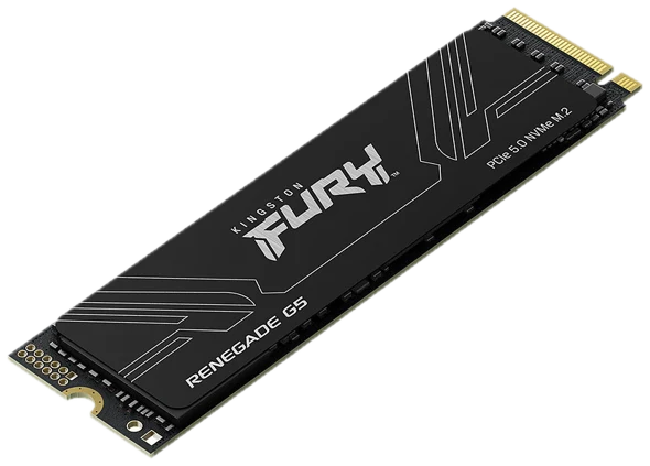 Kingston FURY Renegade G5 1 To